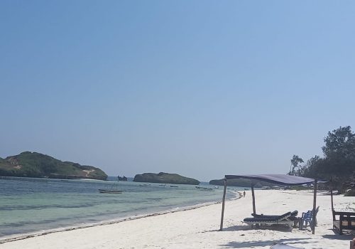 Watamu Sea Excursions (11)