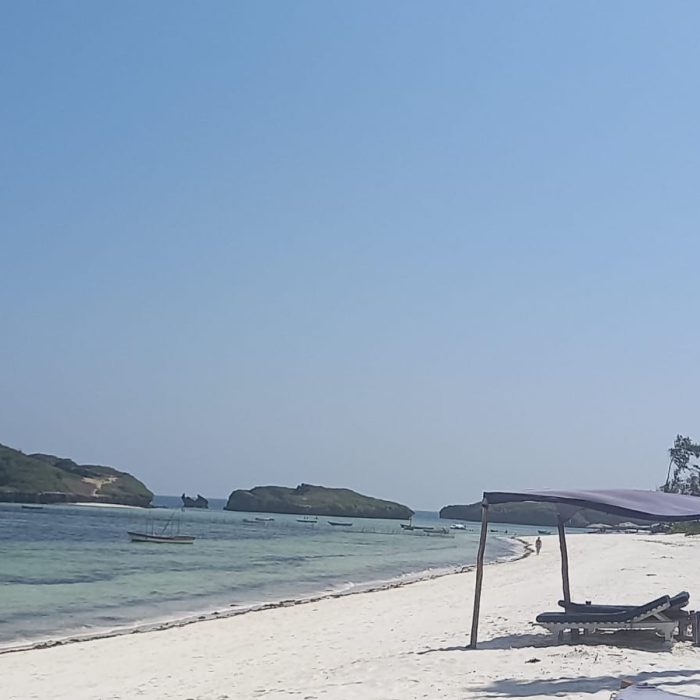 Watamu Sea Excursions (11)