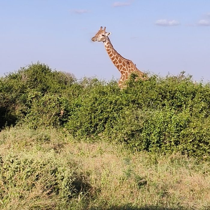 WhatsApp Image 2025-06-09 at 11.19.26 AM (1)