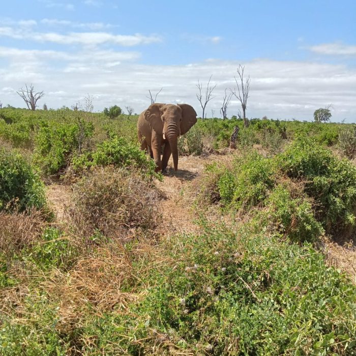 WhatsApp Image 2025-06-09 at 11.19.27 AM (1)