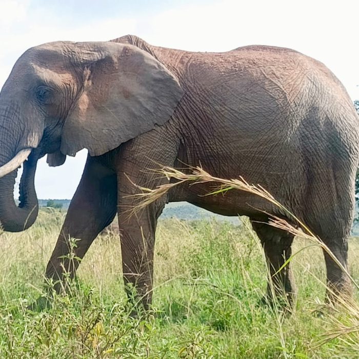 WhatsApp Image 2025-06-09 at 11.19.27 AM