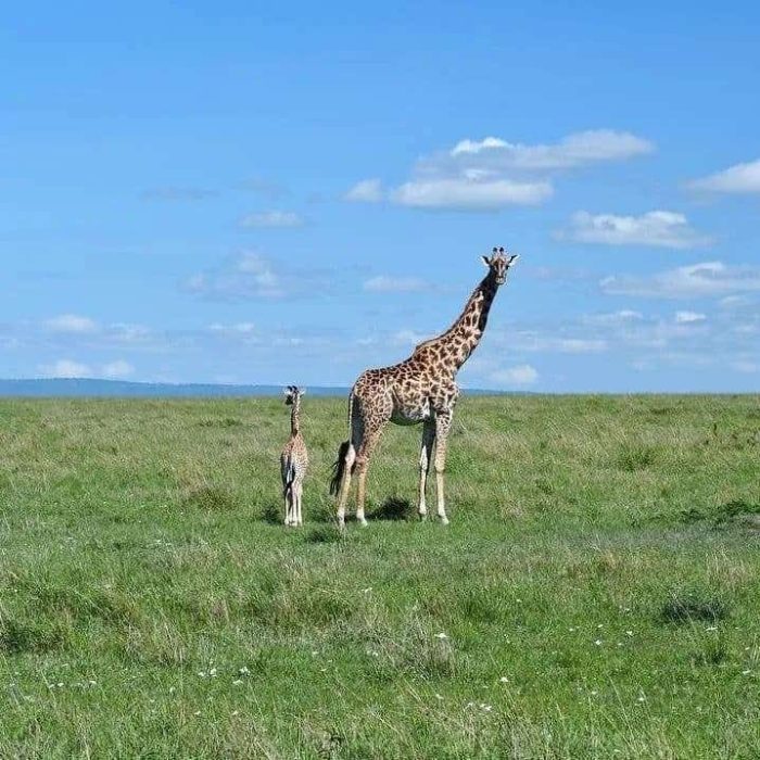 WhatsApp Image 2025-06-09 at 9.54.24 AM