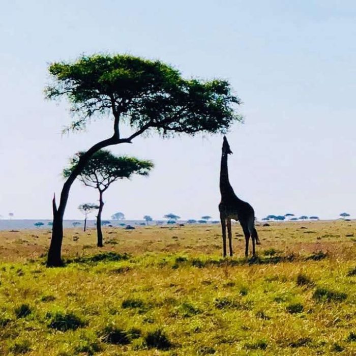 WhatsApp Image 2025-06-09 at 9.54.25 AM