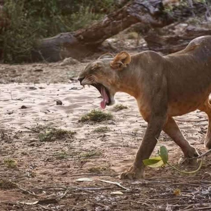 WhatsApp Image 2025-06-09 at 9.54.26 AM