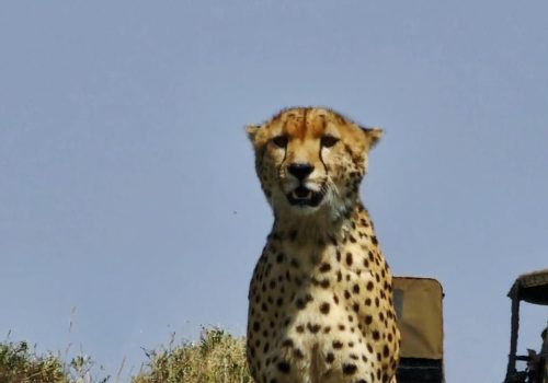 WhatsApp Image 2025-06-10 at 4.53.01 PM