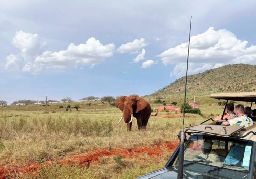 WhatsApp Image 2025-06-10 at 4.53.05 PM