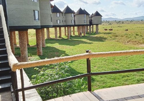 WhatsApp Image 2025-06-11 at 9.45.56 AM